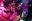 Azami Nude Leaked Onlyfans Photo Azami Nude Leaked Onlyfans Photo