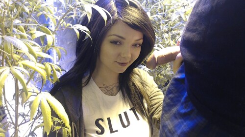 68371376-Picture-445.jpg