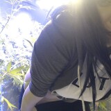 84752816-Picture-494