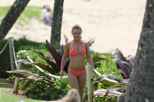 Hayden-Panettiere_orange_bikini_candids_playing__tennis_in_hawaii_04_122_85lo.jpg