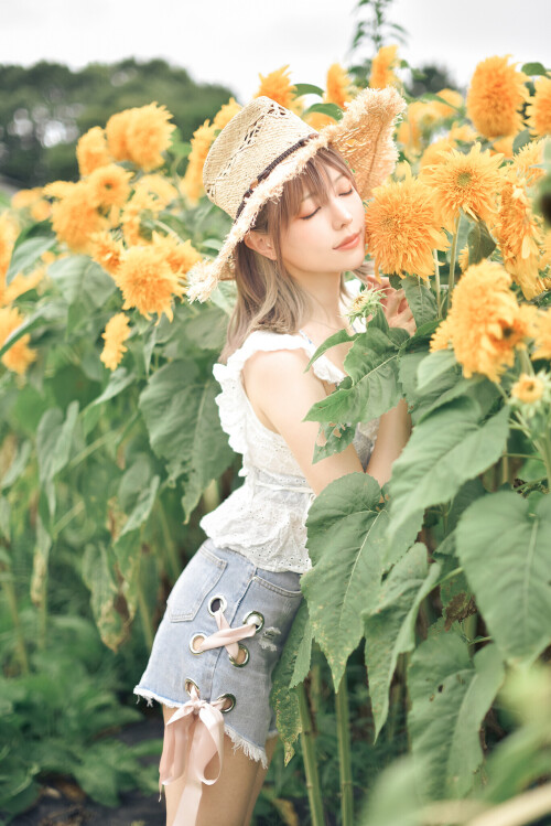 SF-1145ff2f7c15401059.md.jpg