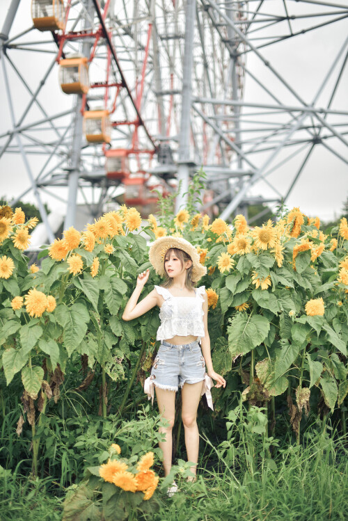 SF-221f6278a9c815a64e.md.jpg
