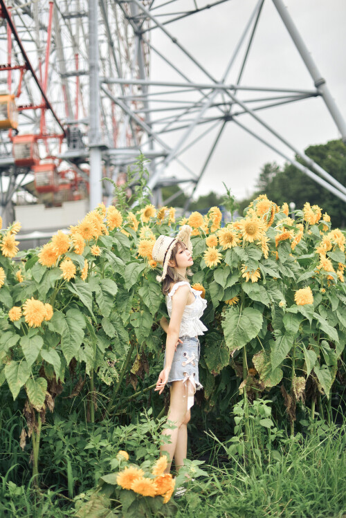 SF-23355485d183c21695.md.jpg