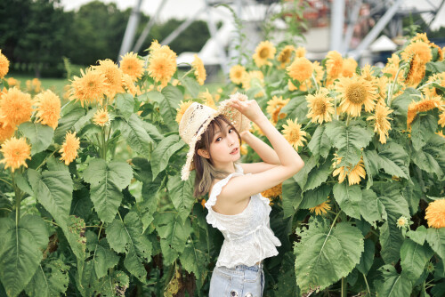 SF-24c3007dea7ddee837.md.jpg