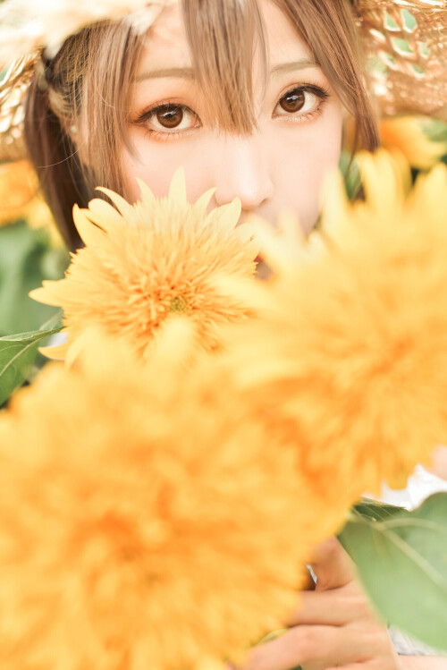 SF-311e0dc250ec6644a8.md.jpg
