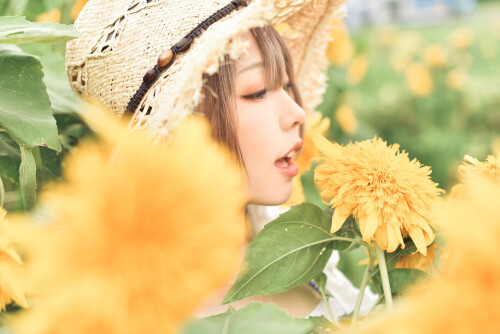 SF-32bcc31be0dd915f1e.md.jpg