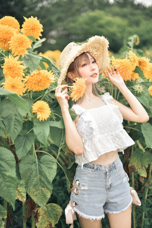 SF-33e2914cb48949f7a.md.jpg