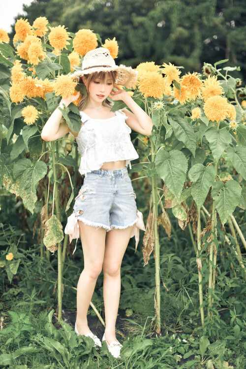 SF-733e0a3d8b80652ed.md.jpg