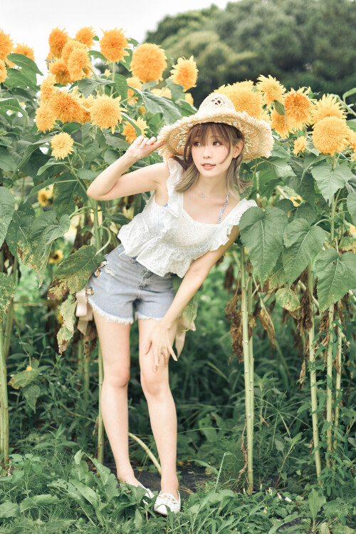 SF-89089e300d78d4a20.md.jpg