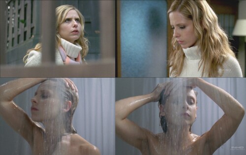 Sarah-Michelle-Gellar_Grudge_2.md.jpg