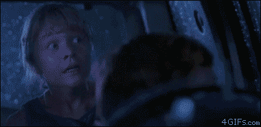 WDIwvFe0e79db8fd958ca68.gif