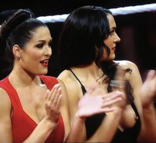 brie-bella-nip-slip.jpg